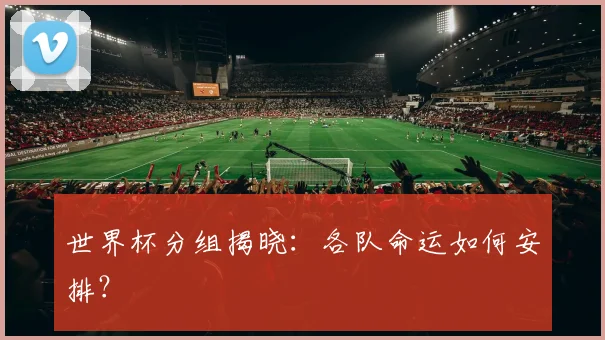 世界杯分组揭晓：各队命运如何安排？
